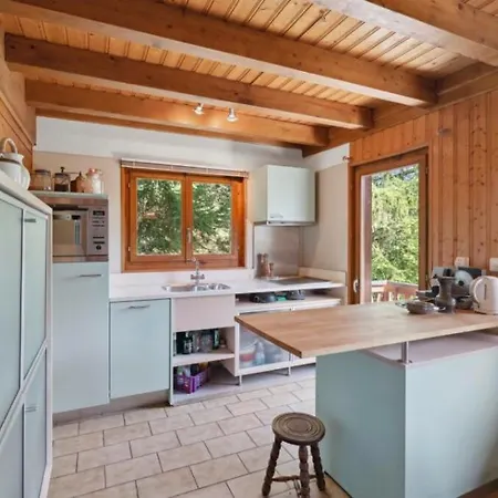 Villa Chalet Rumiera Independant A Valais Champéry