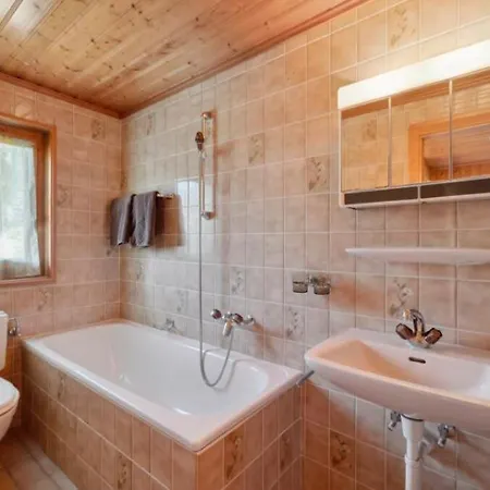 Villa Chalet Rumiera Independant A Valais